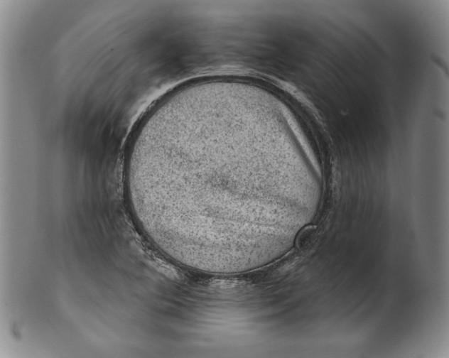 X0000101971364200808081541