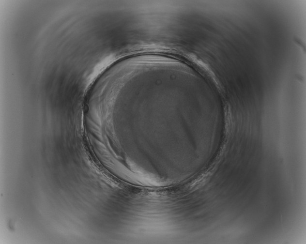 X0000101971365200808081541