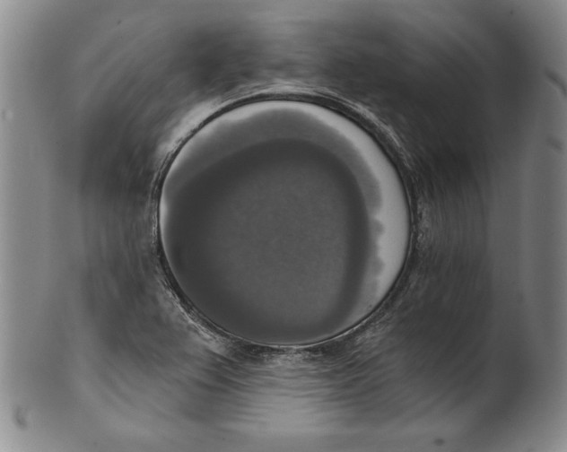 X0000101971367200808081541