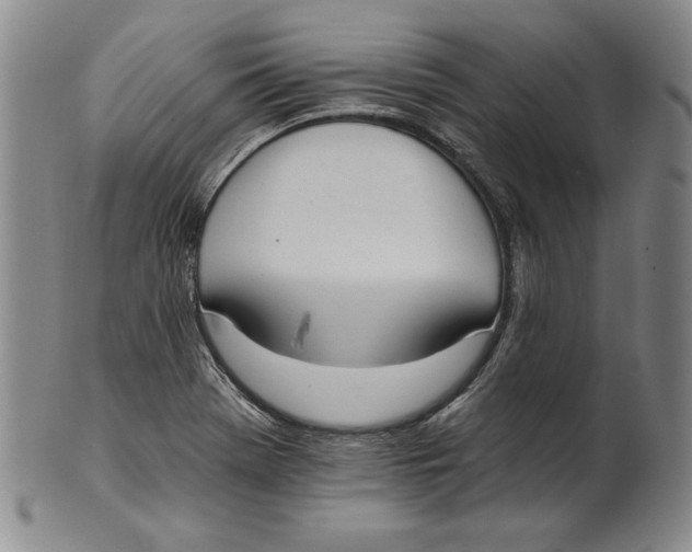 X0000101971369200808081541