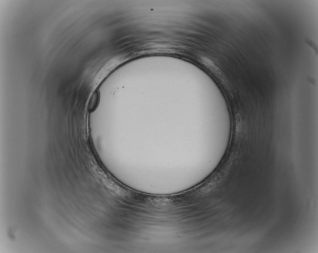 X0000101971370200808081541