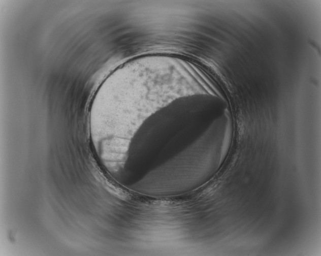 X0000101971371200808081541