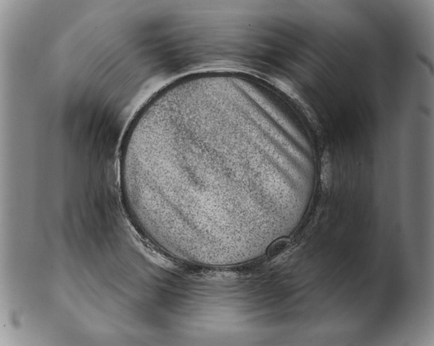 X0000101971372200808081541