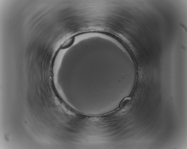 X0000101971373200808081541