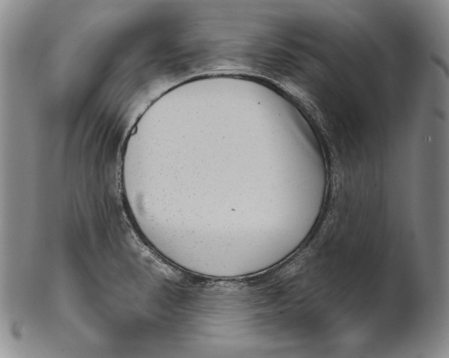 X0000101971374200808081541