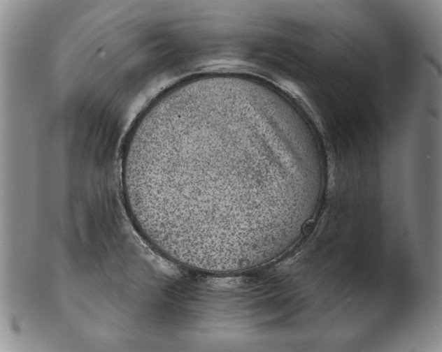 X0000101971376200808081541