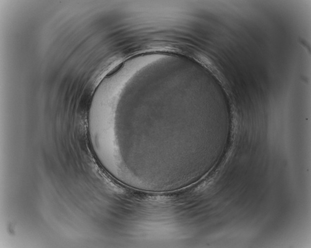 X0000101971377200808081541