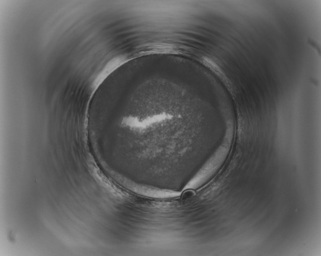 X0000101971378200808081541