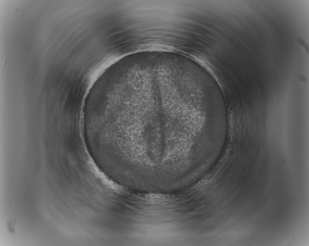 X0000101971379200808081541