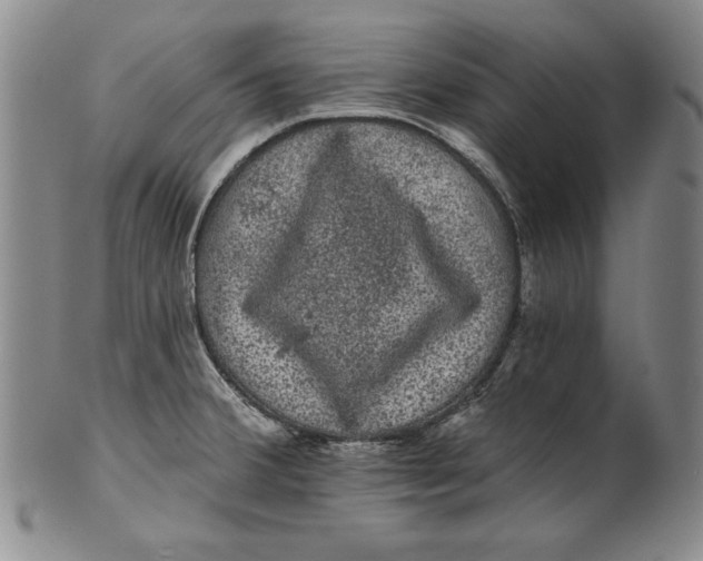 X0000101971380200808081541