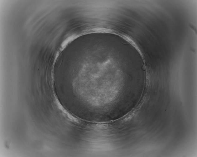 X0000101971381200808081541