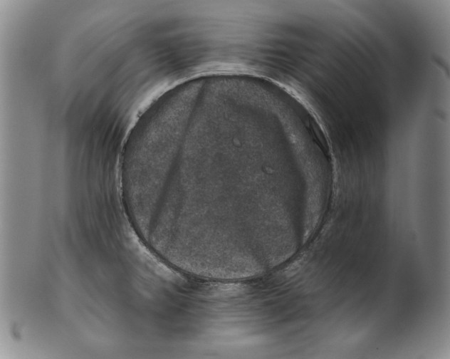 X0000101971382200808081541
