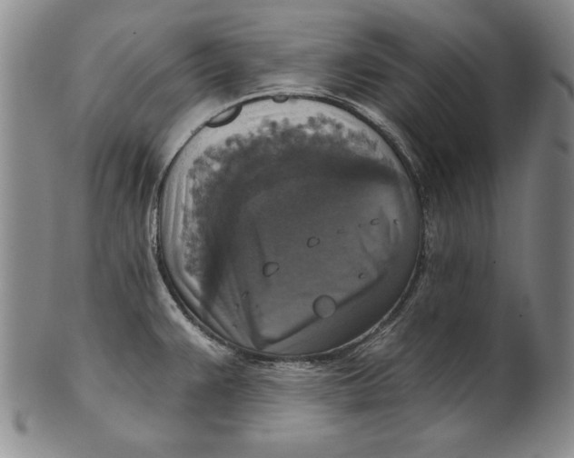 X0000101971383200808081541