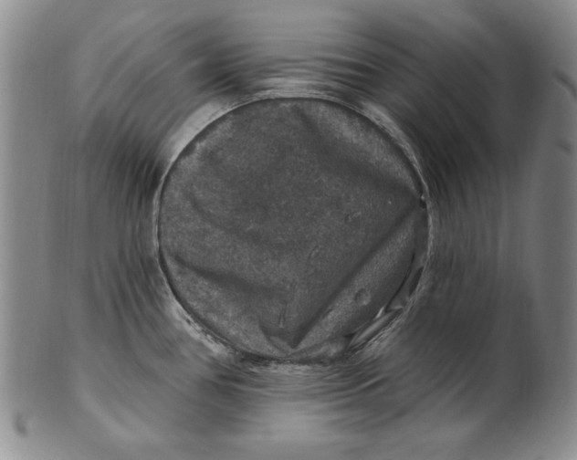 X0000101971386200808081541