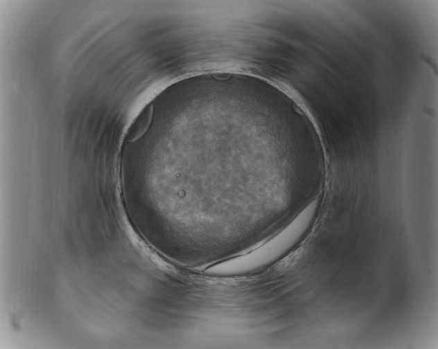 X0000101971389200808081541