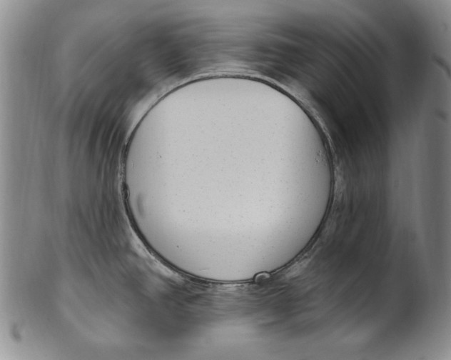 X0000101971390200808081541