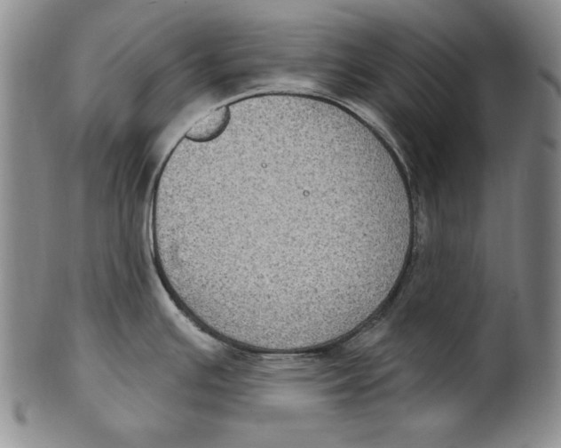 X0000101971391200808081541