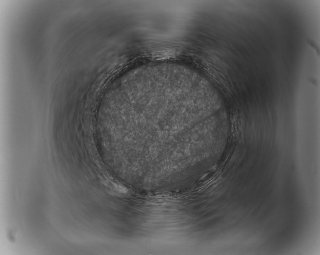 X0000101971393200808081540