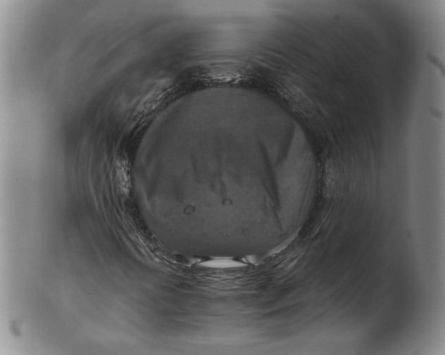 X0000101971394200808081540
