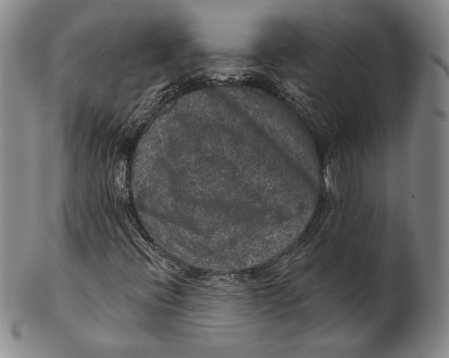 X0000101971396200808081540