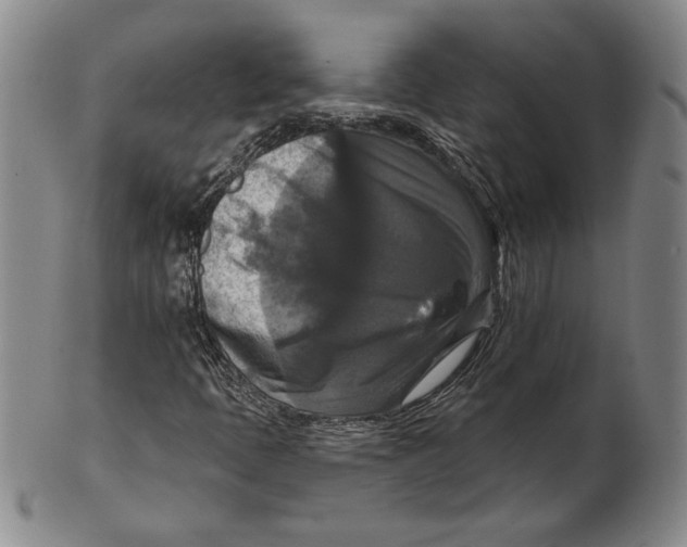 X0000101971397200808081540