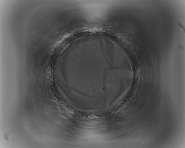 X0000101971398200808081540