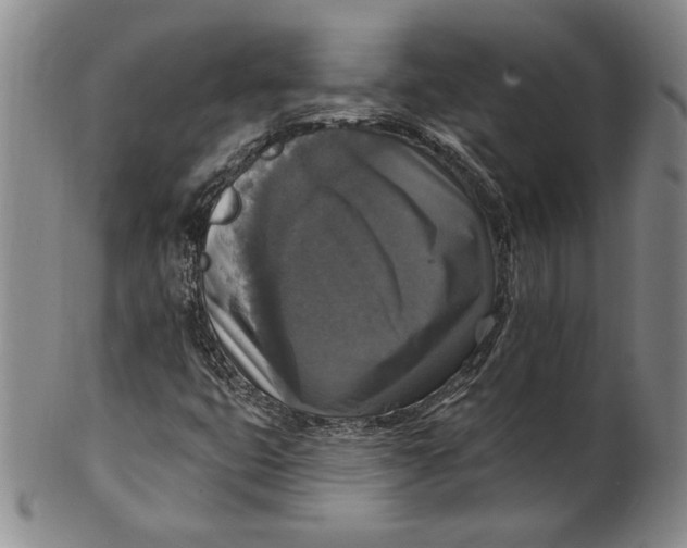 X0000101971399200808081540