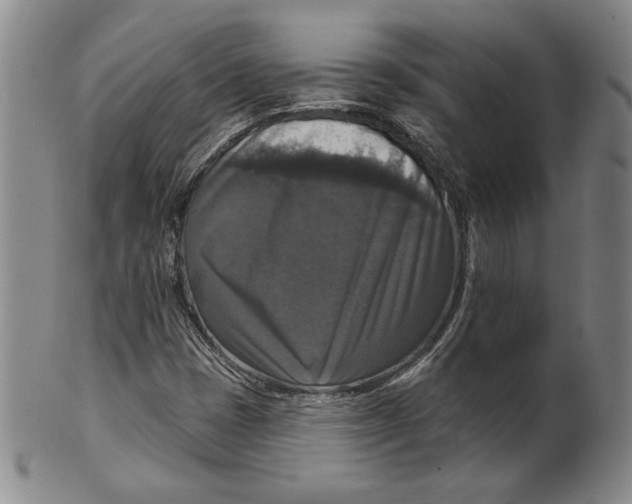 X0000101971401200808081540