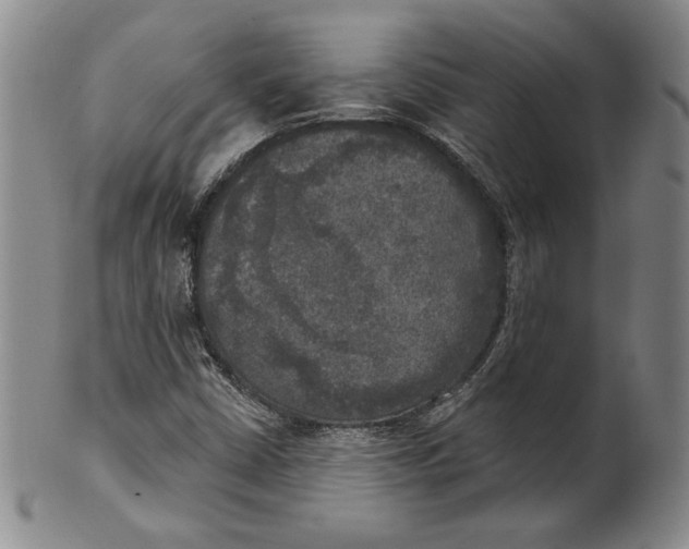 X0000101971402200808081540
