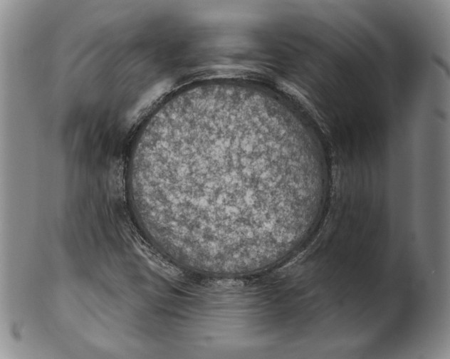 X0000101971403200808081540