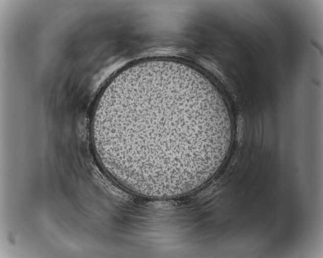 X0000101971404200808081540