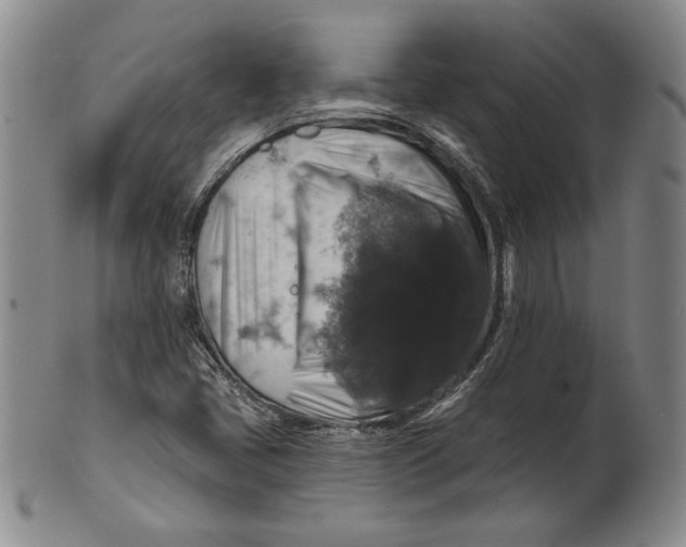 X0000101971405200808081540