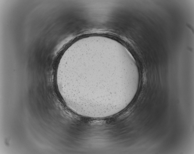 X0000101971406200808081540