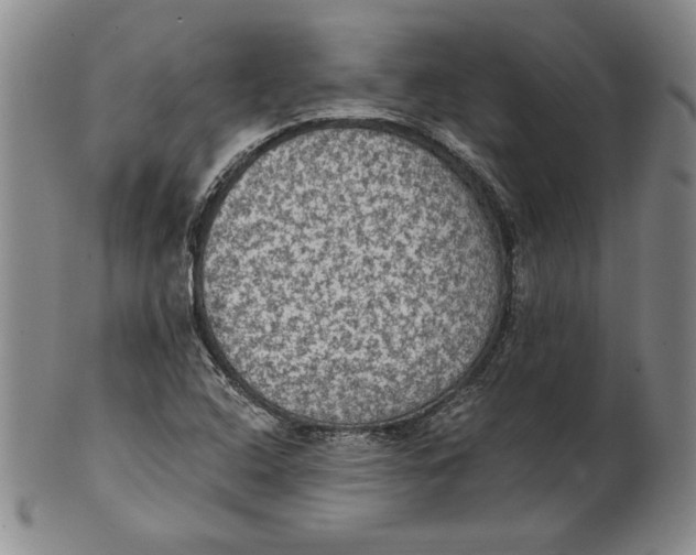 X0000101971408200808081540