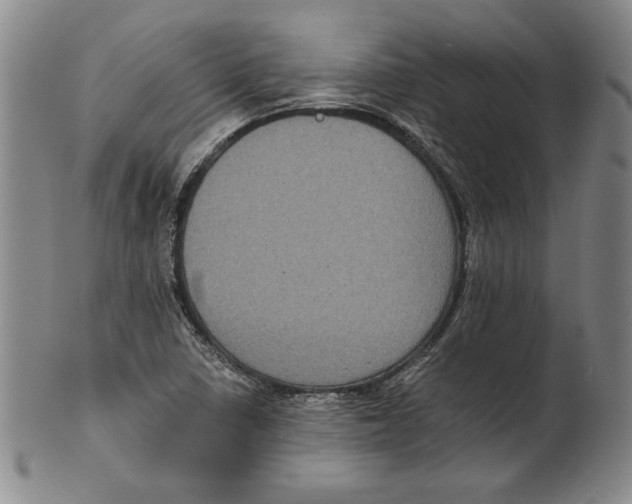 X0000101971410200808081540