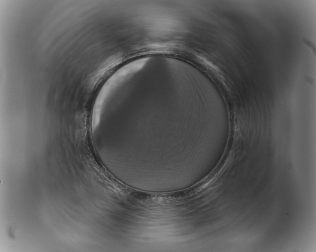 X0000101971411200808081540