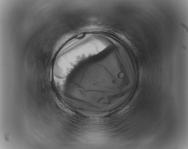 X0000101971413200808081540