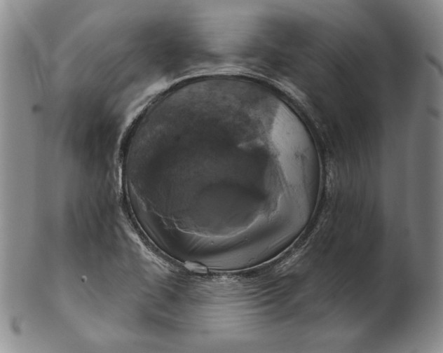 X0000101971414200808081540