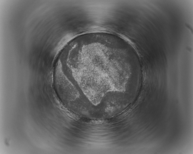 X0000101971415200808081540