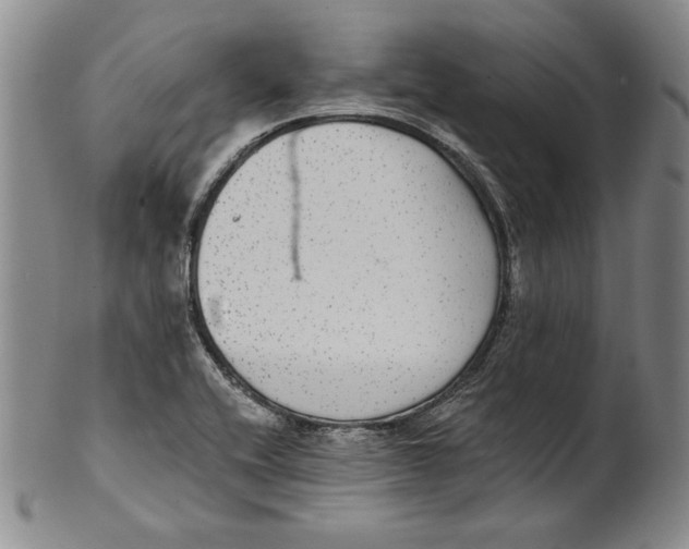 X0000101971416200808081540