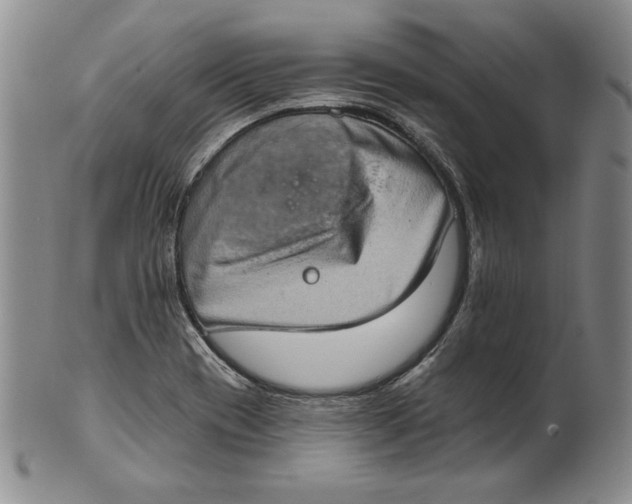X0000101971417200808081540