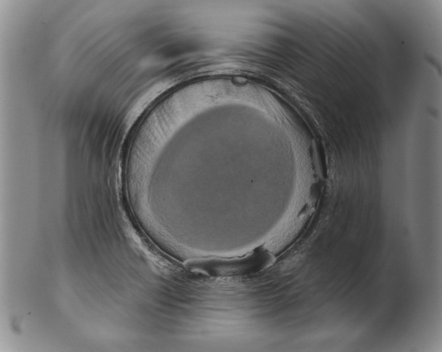 X0000101971418200808081540
