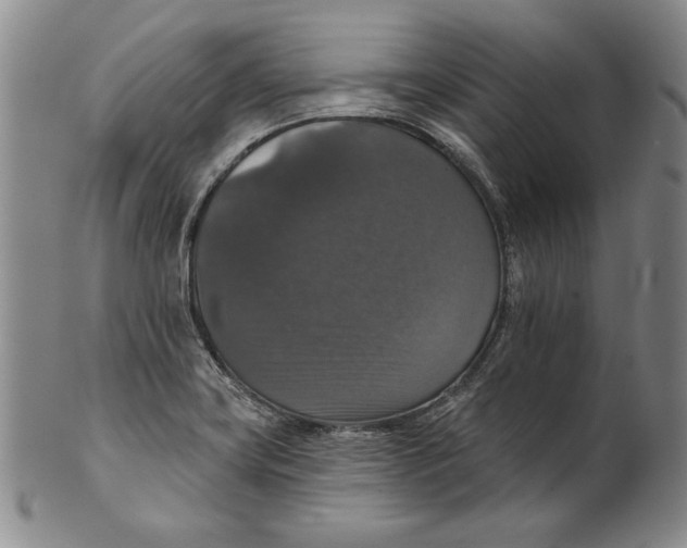 X0000101971419200808081540