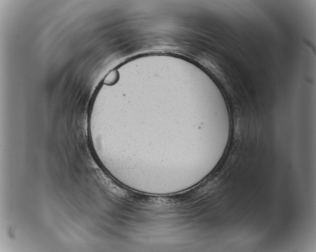 X0000101971420200808081540
