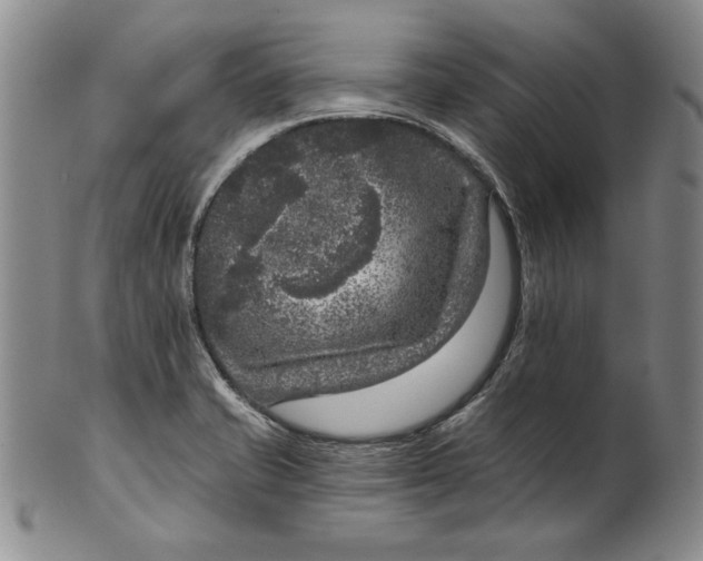 X0000101971421200808081540