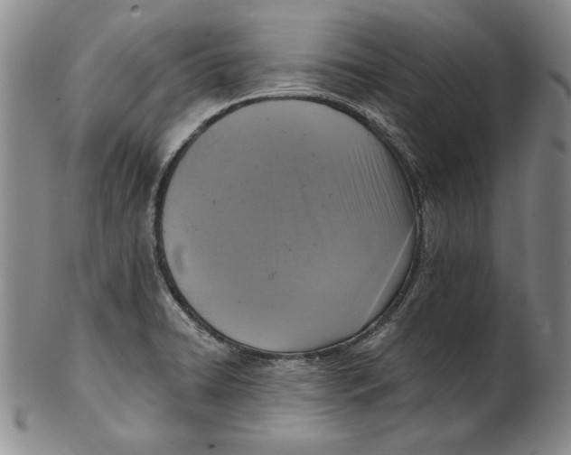 X0000101971422200808081540