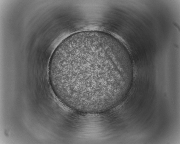 X0000101971423200808081540