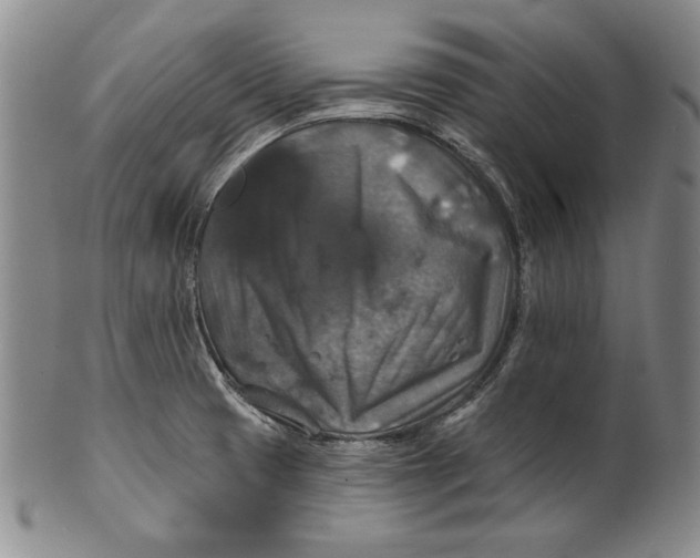 X0000101971425200808081540