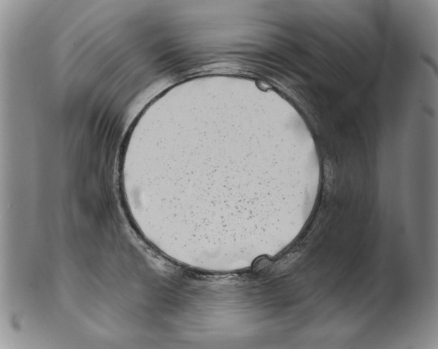 X0000101971426200808081540
