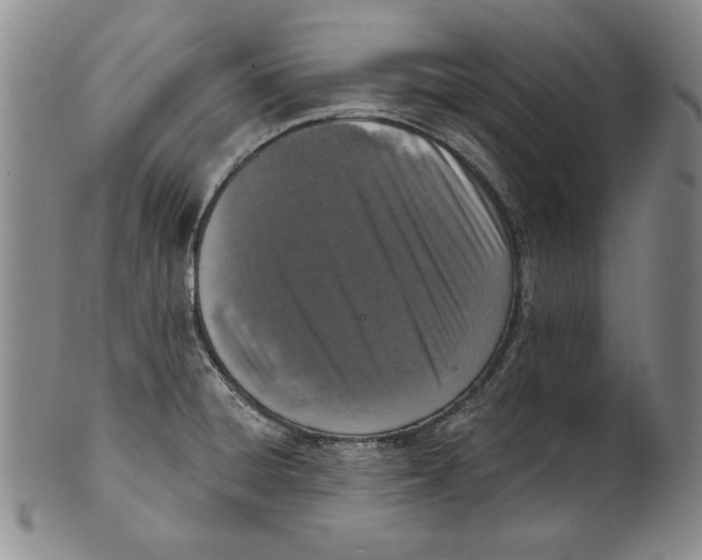 X0000101971428200808081540